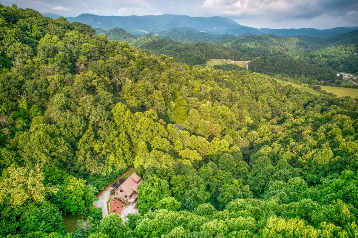 An exterior view showing the house nestled amidst a dense forest and distant mountain backdrop. The peaceful setting hints at proximity to nature trails and a serene environment for both guests and pets.