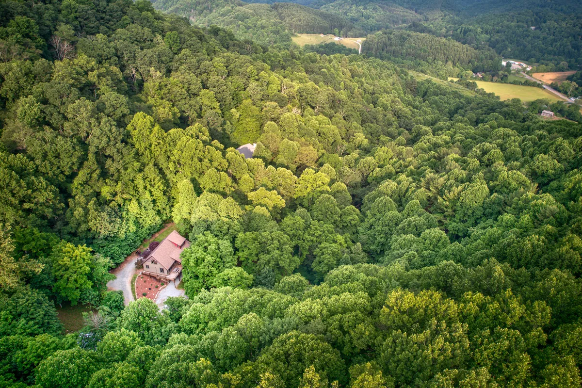 This wide-angle view features the wooden house surrounded by dense forest, with a gravel driveway leading into the secluded landscape. The composition emphasizes seclusion, tranquility, and direct access to hiking and nature exploration from the doorstep.